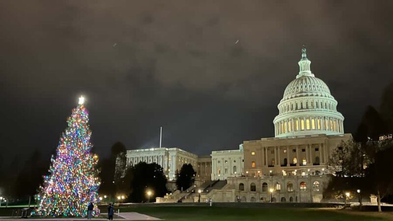 White House National Christmas Tree & Holiday Light Bus Tour - The Sum Up: Is This Tour for You?