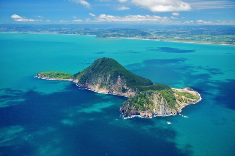 White Island & Whale Island 1-Hour Volcano Scenic Flight - Who Should Consider This Tour?
