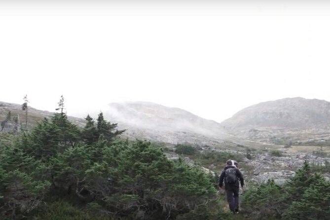 White Pass Mountaineering Adventure - Who Should Consider This Tour?