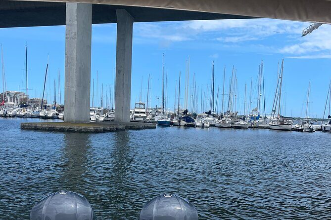 White point Battery and River Run through Charleston Harbor Boat - Setting the Scene: Starting Point and Overall Experience