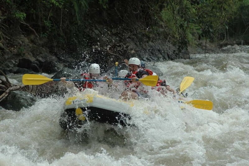 White River Rafting Trip Shivpuri to Rishikesh (16 Km) - Key Points