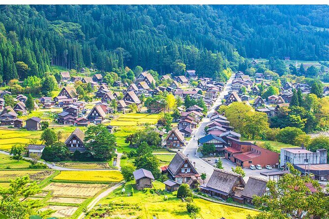 White Road Shirakawago Observatory Tour Package - Discover Japan’s Hidden Gems with the White Road Shirakawago Observatory Tour Package