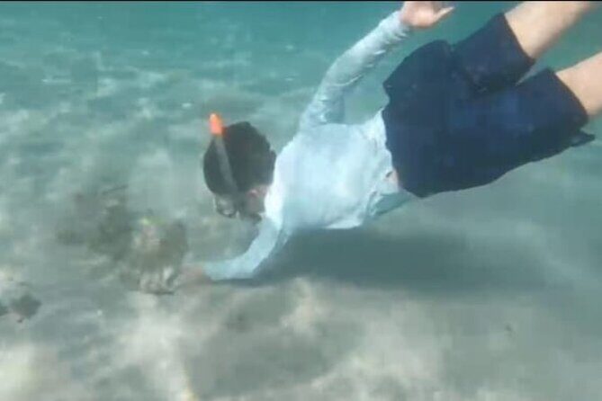 White Sand Beach Jaco Snorkel Adventure with Monkey Tour - Key Points