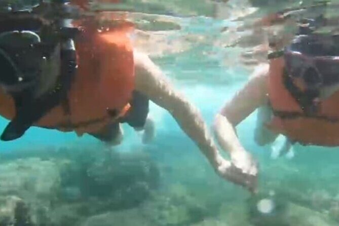 White Sand Beach Jaco Snorkel Adventure with Monkeys - A Closer Look at the Tour Itinerary