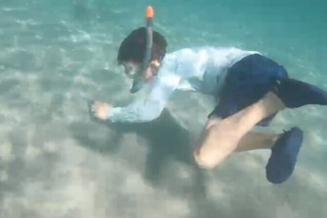 White Sand Beach Jaco Snorkel Adventure with Monkeys - Meeting Points and Practical Details