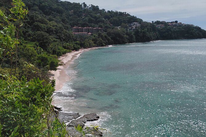 White Sand Beach Jaco Snorkel Adventure with Monkeys - Practical Tips for Future Travelers