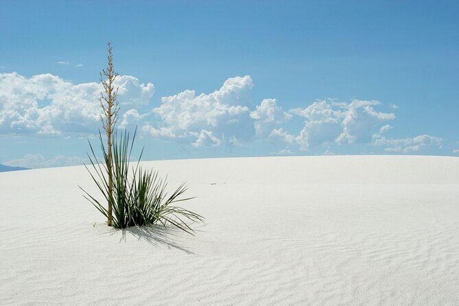 White Sands National Park Self-Guided Audio Tour - Final Thoughts