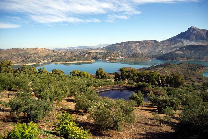 White Villages and Ronda Day Tour from Seville - Key Points