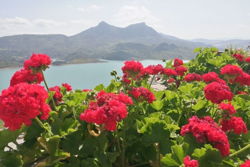 White Villages & Ronda 2-Days Trip & Overnight Stay - The Sum Up