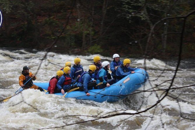 White Water Rafting on the River Tay from Aberfeldy - Key Points