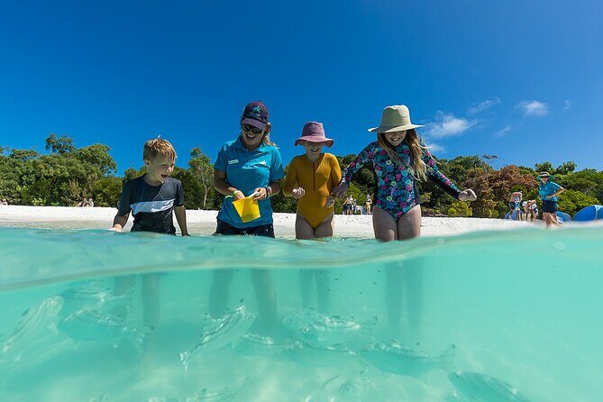 Whitehaven Beach and Hamilton Island Cruise from Airlie Beach - Final Thoughts: Is This Tour Worth It?
