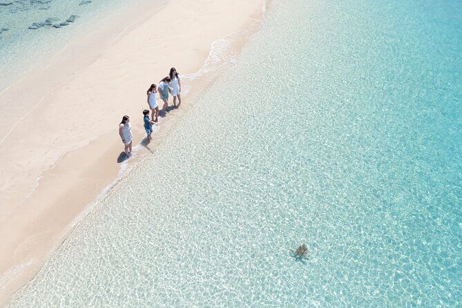 Whitehaven Beach and Hill Inlet Lookout Snorkeling Cruise - The Sum Up