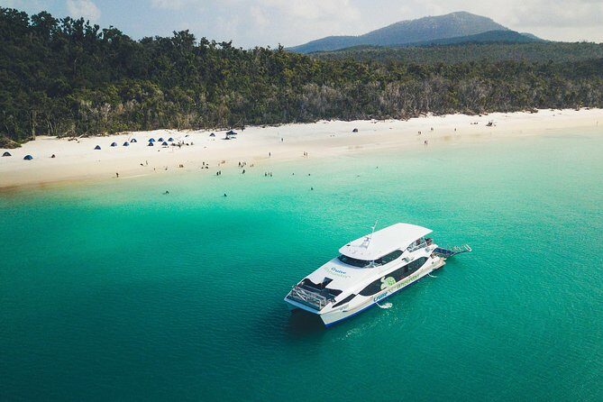 Whitehaven Beach Morning or Afternoon Tour - Authentic Experiences from Travelers