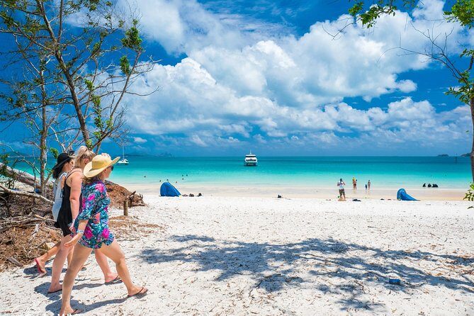 Whitehaven Beach Morning or Afternoon Tour - Who Is This Tour Best For?