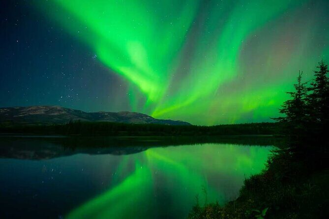 Whitehorse 3 Day Aurora Tour Wildlife Preserve and Hot Springs - An In-Depth Look at the Whitehorse 3-Day Aurora Tour