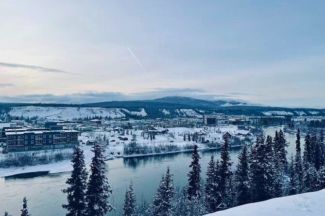 Whitehorse 4 Day Aurora Tour Wildlife Preserve and Hot Springs - Day-by-Day Breakdown: What to Expect