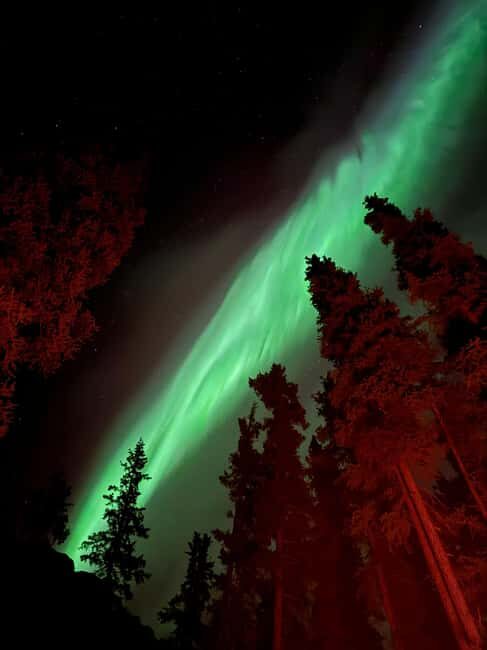Whitehorse: Aurora Viewing with Wild Adventure Yukon - Frequently Asked Questions