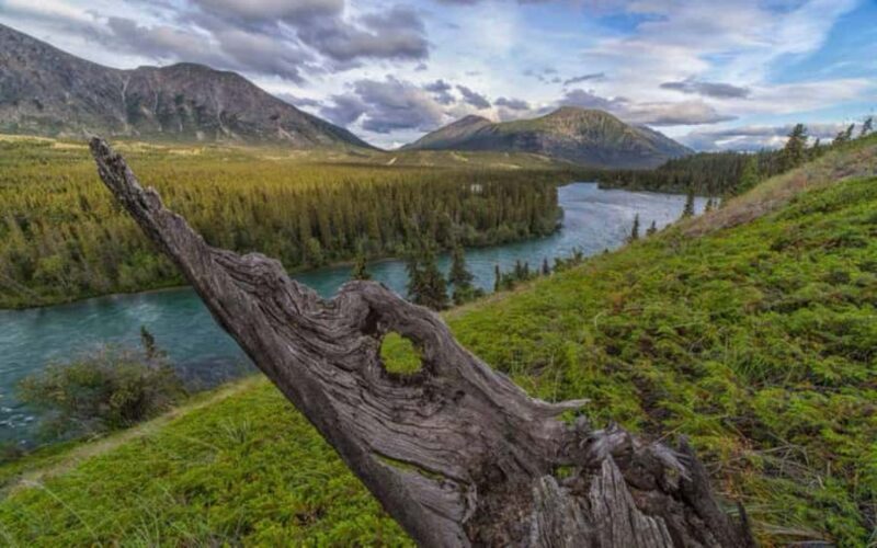 Whitehorse : Takhini Self-Guided Half Day Paddle Adventure - Key Points