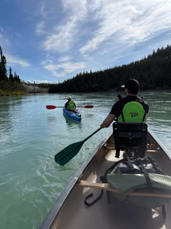 Whitehorse : Takhini Self-Guided Half Day Paddle Adventure - The Wildlife and Scenery