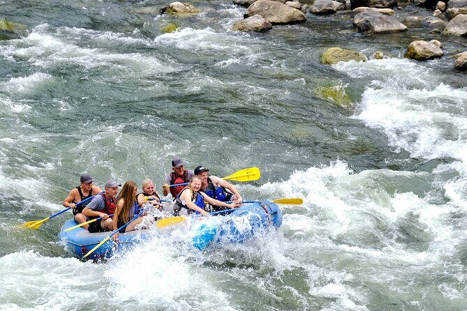 Whitewater Rafting the Salmon River - Full Day - The Experience: What You Can Expect