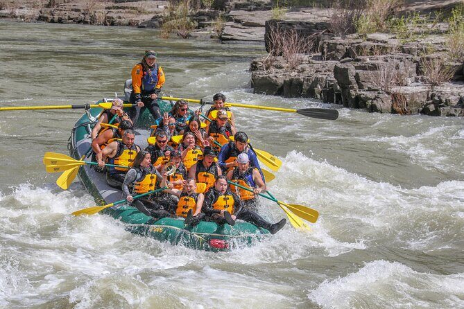 Whitewater Rafting Tour in Jackson Hole: Classic Adventure - A Close Look at the Jackson Hole Whitewater Rafting Experience