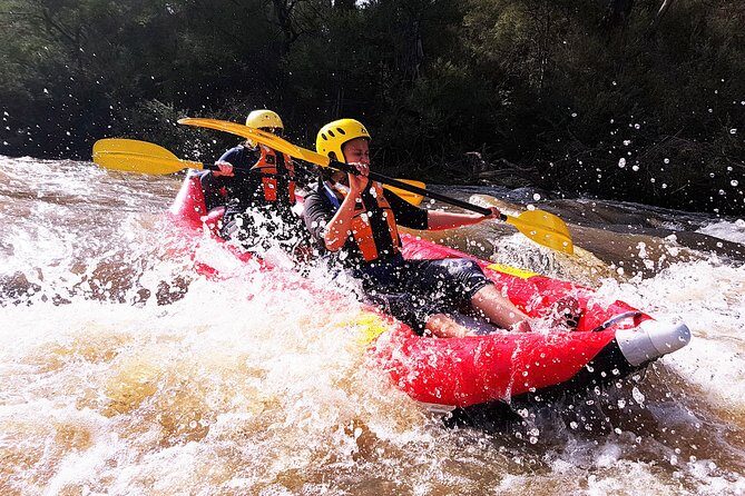 Whitewater Sports rafting on the Yarra river - Why You Might Love This Tour