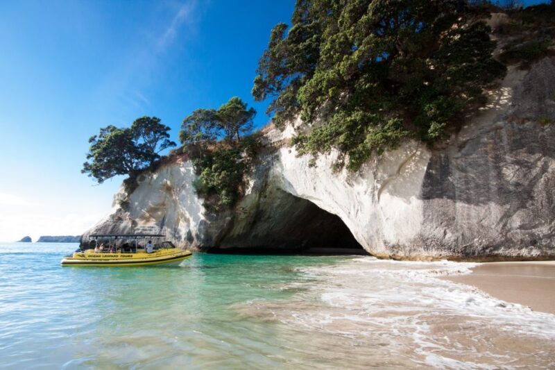 Whitianga: 2-Hour Cathedral Cove and Volcanic Coast Cruise - Exploring Mercury Bay: What You Can Expect