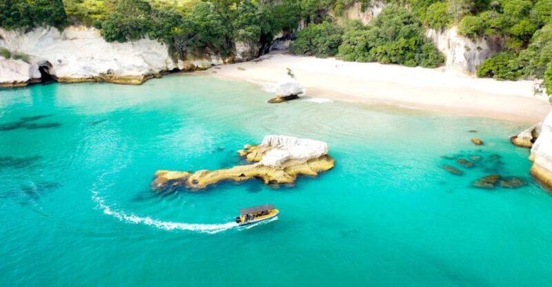 Whitianga: 2-Hour Cathedral Cove and Volcanic Coast Cruise - Why This Tour Works Well