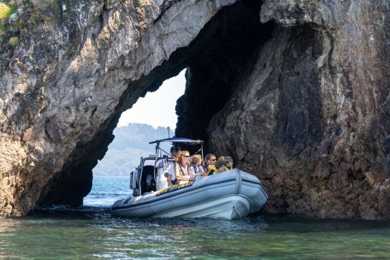 Whitianga: Cathedral Cove Thrilling Boat Tour and Snorkeling - Discovering the Wonders of Whitianga’s Coast