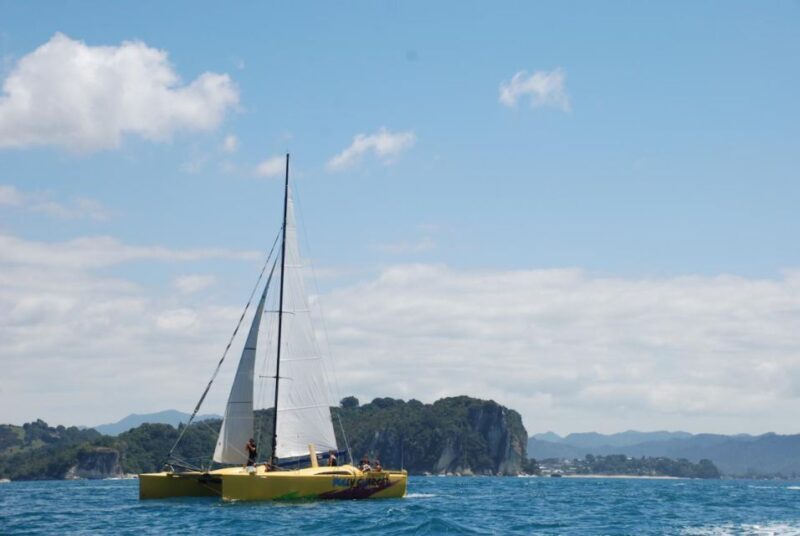 Whitianga: Sailing Trip to Cathedral Cove - Experiencing the Coastline in Style and Comfort
