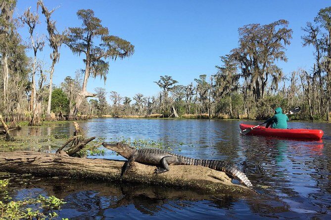 Whitney Plantation and Manchac Swamp Kayak Tour Combo - Key Points
