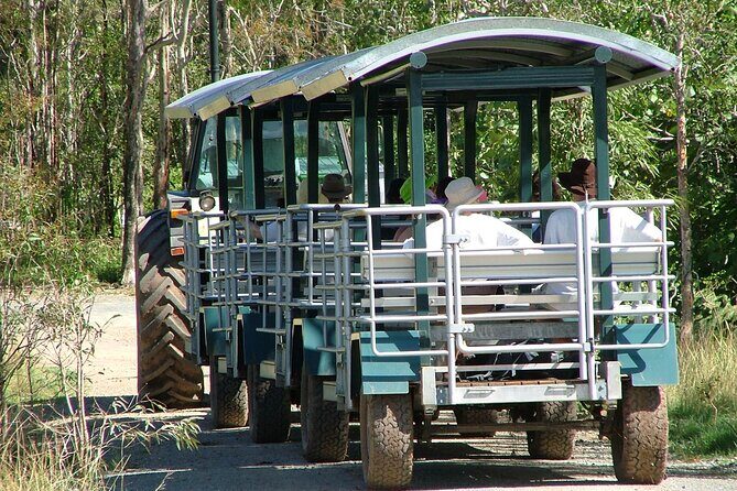Whitsunday Crocodile Safari from Airlie Beach including Lunch - Experience the Wild with the Whitsunday Crocodile Safari from Airlie Beach