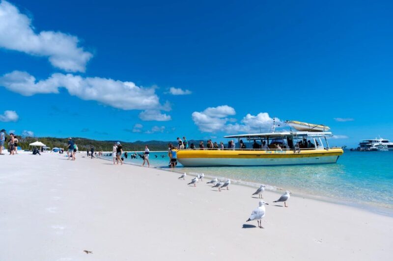 Whitsunday: Whitsunday Islands Tour with Snorkeling & Lunch - FAQs