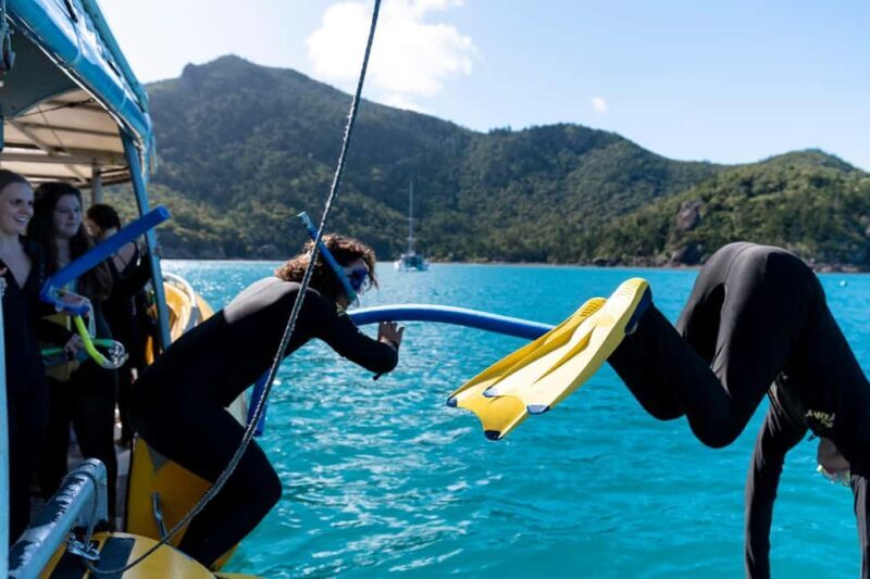 Whitsundays: 2 days 1 night Sailing, Snorkeling, Whitehaven - What to Expect and How to Prepare