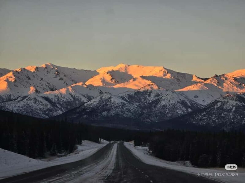 Whittier Cruise Shuttle Tour with Multiple Stops - A Detailed Look: What to Expect from the Whittier Cruise Shuttle Tour