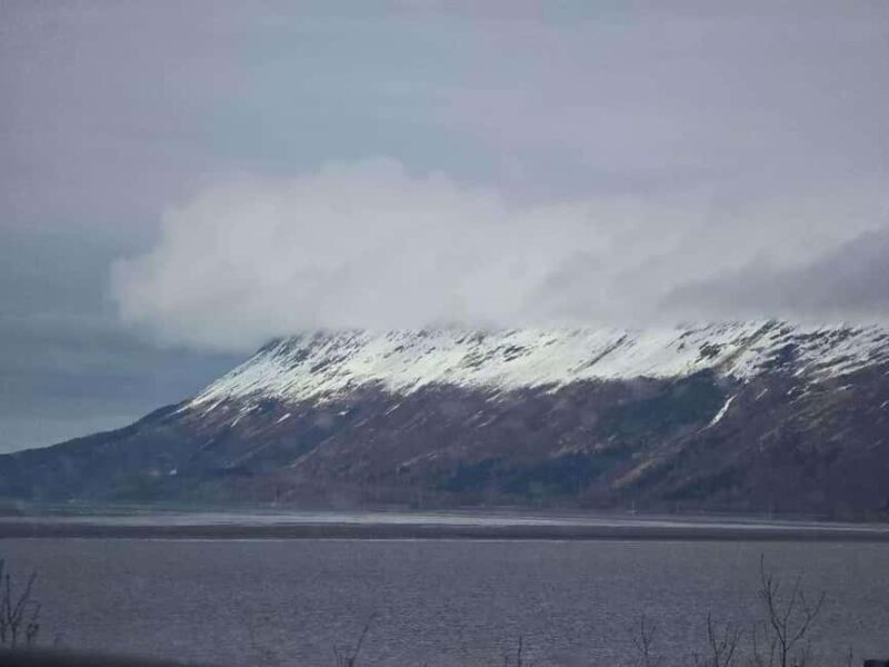 Whittier Cruise Shuttle Tour with Multiple Stops - Final Thoughts