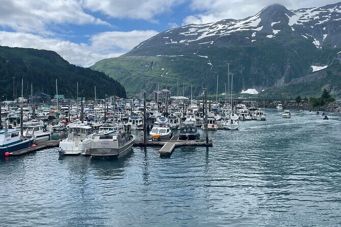 Whittier Drive and Coastal Alaska Full Day Adventure - A Quick Overview of the Tour Details
