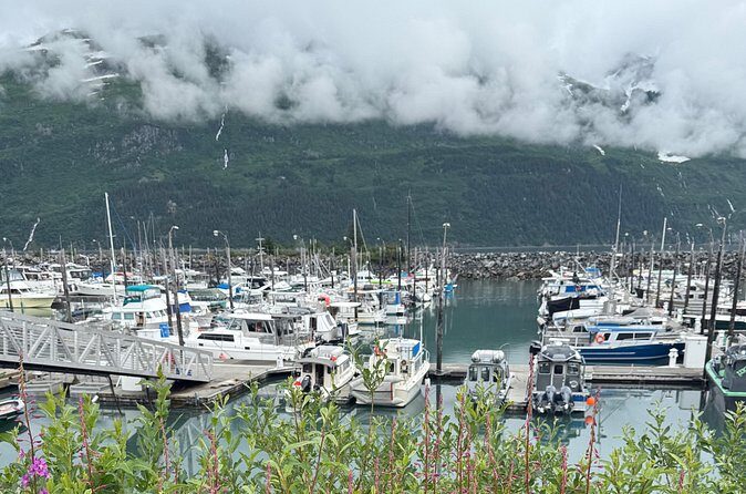 Whittier Drive and Coastal Alaska Full Day Adventure - Authentic Experiences and Traveler Insights