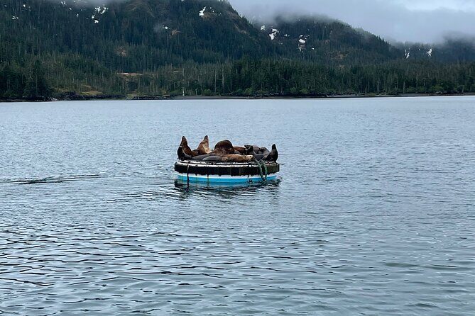 Whittier Drive and Coastal Alaska Full Day Adventure - Price and Value Analysis