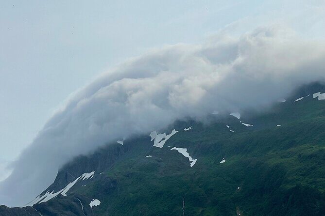 Whittier Drive and Coastal Alaska Full Day Adventure - Who is This Tour Best For?