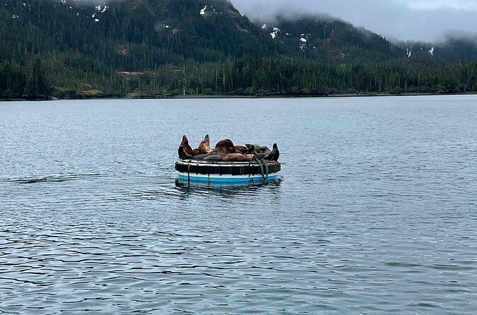 Whittier Drive and Coastal Alaska Full Day Adventure - Frequently Asked Questions