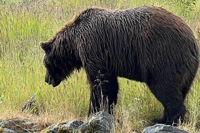 Whittier to Anchorage Land Transfer Tour With AWCC - The Value of This Tour