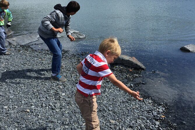 Whittier to Anchorage Sightseeing with Wildlife Tour - Discover the Whittier to Anchorage Sightseeing with Wildlife Tour