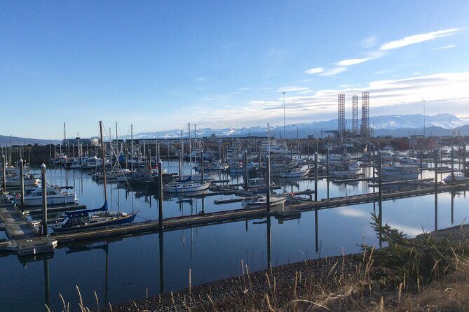 Whittier to Anchorage Sightseeing with Wildlife Tour - In-Depth Review of the Tour Experience