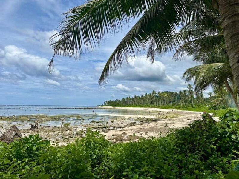 Whole Day North of Siargao Surfing Lessons - Practical Details and Tips