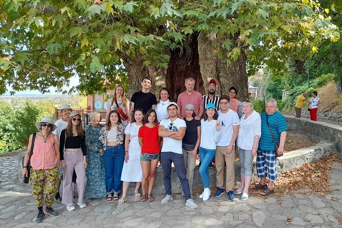 Whole day Wine Tour to Kakheti from Tbilisi - Final Thoughts: Is This Tour Right for You?