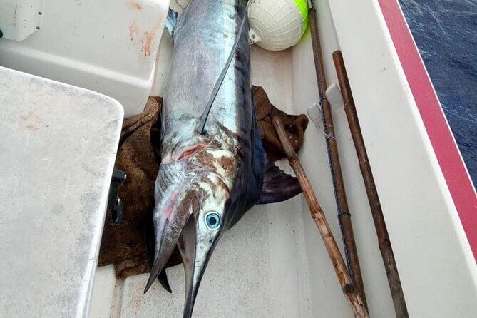 Wholesale Fishing in Poti Marara at Tahiti Teahupoo Peninsula - FAQ