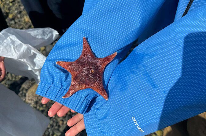 Whytecliff Park Indigenous Salish Sea Walking Tour - Who Will Love This Tour?