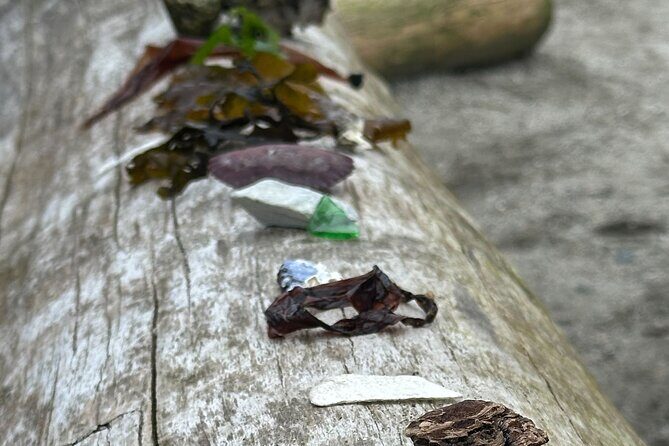 Whytecliff Park Indigenous Salish Sea Walking Tour - Final Thoughts