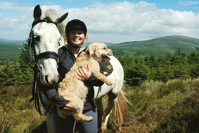 Wicklow Mountains Horse Trekking - Exploring Wicklow Mountains Horse Trekking: A Detailed Review